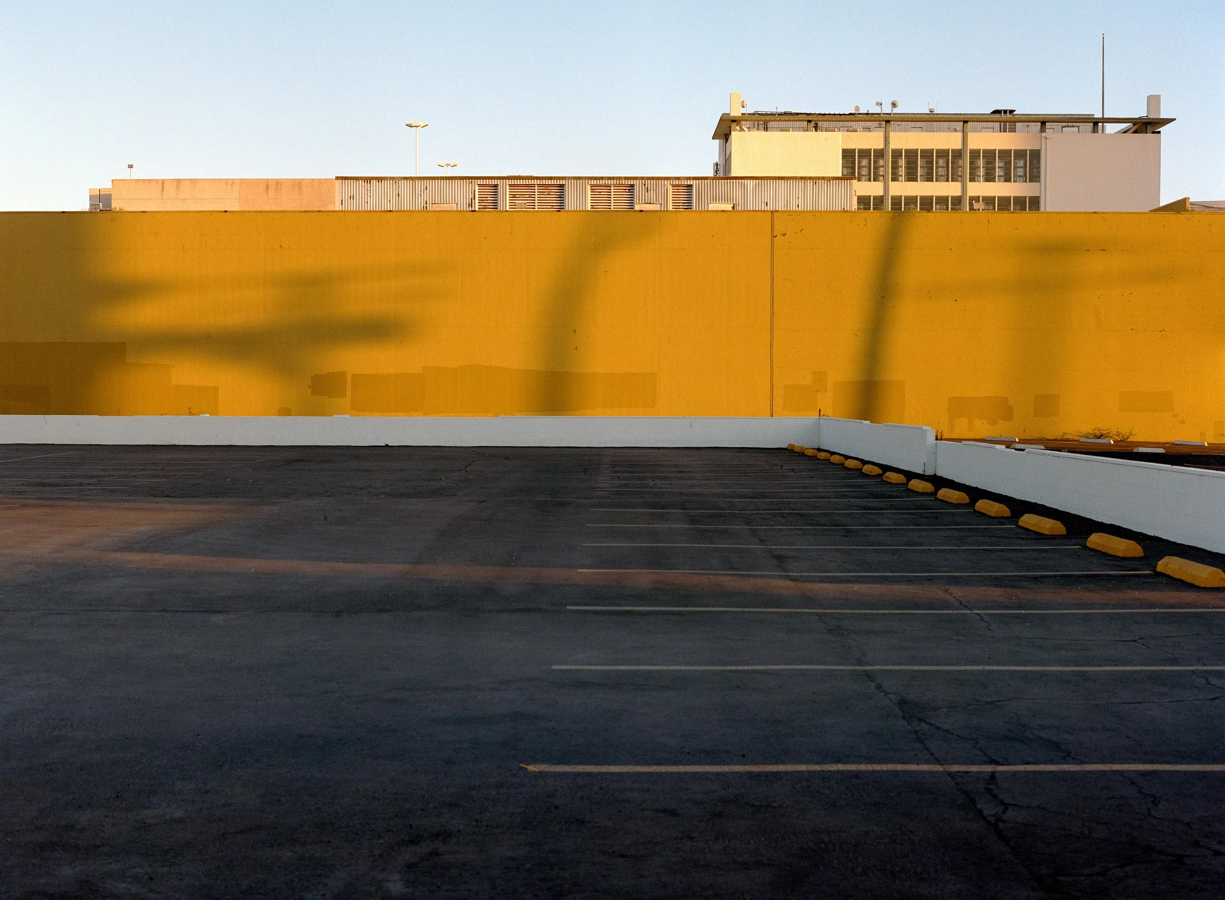 Yellow Parking Lot (Website).jpg