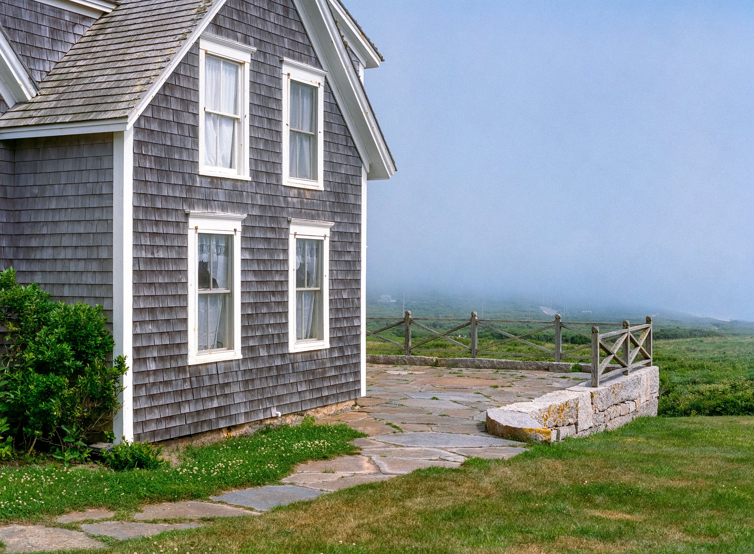 Vineyard (Website)-2.jpg