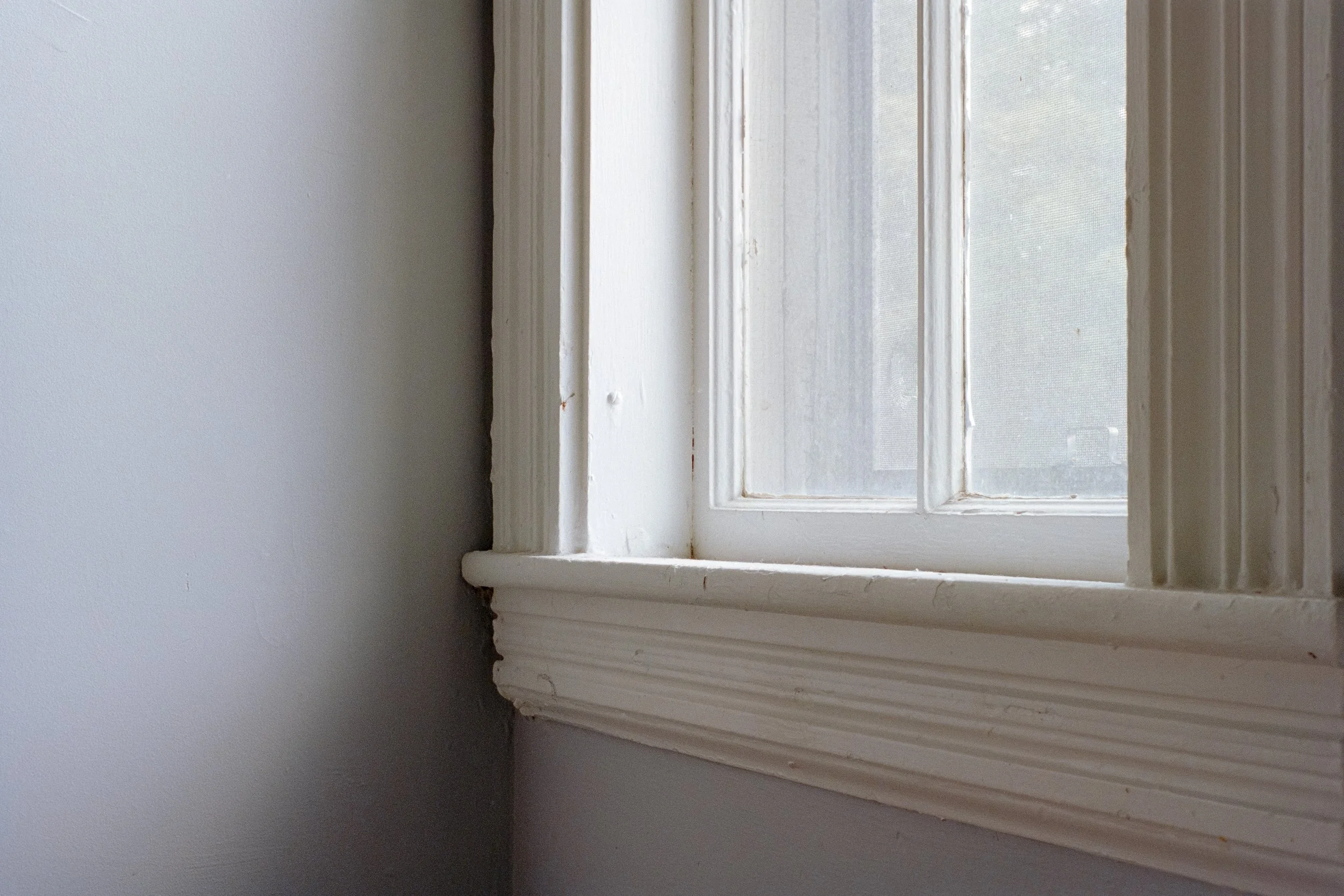 Window (Website).jpg