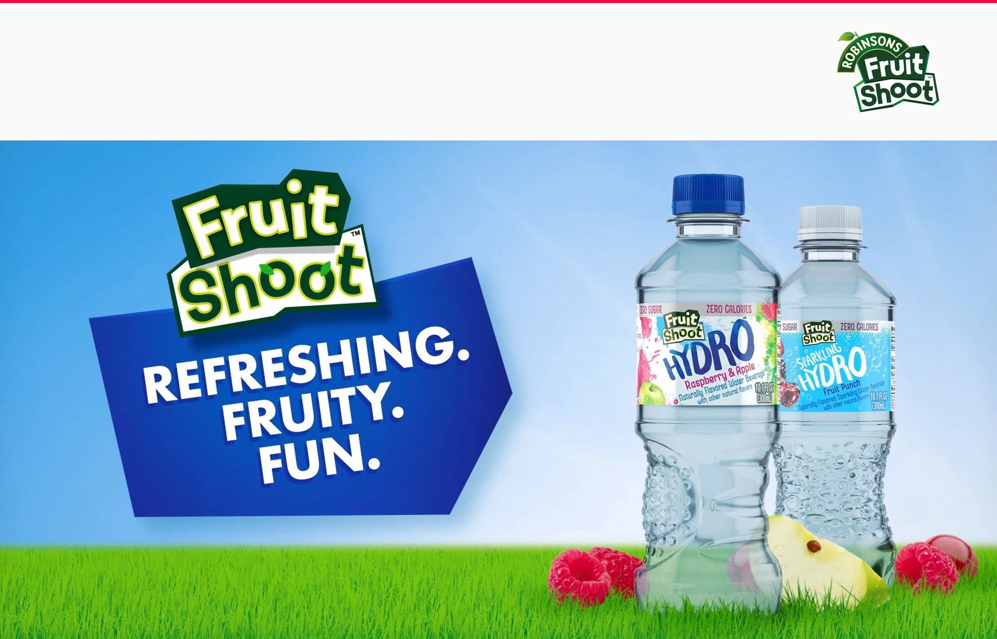 ROBINSONS PROJECT CARD.jpg