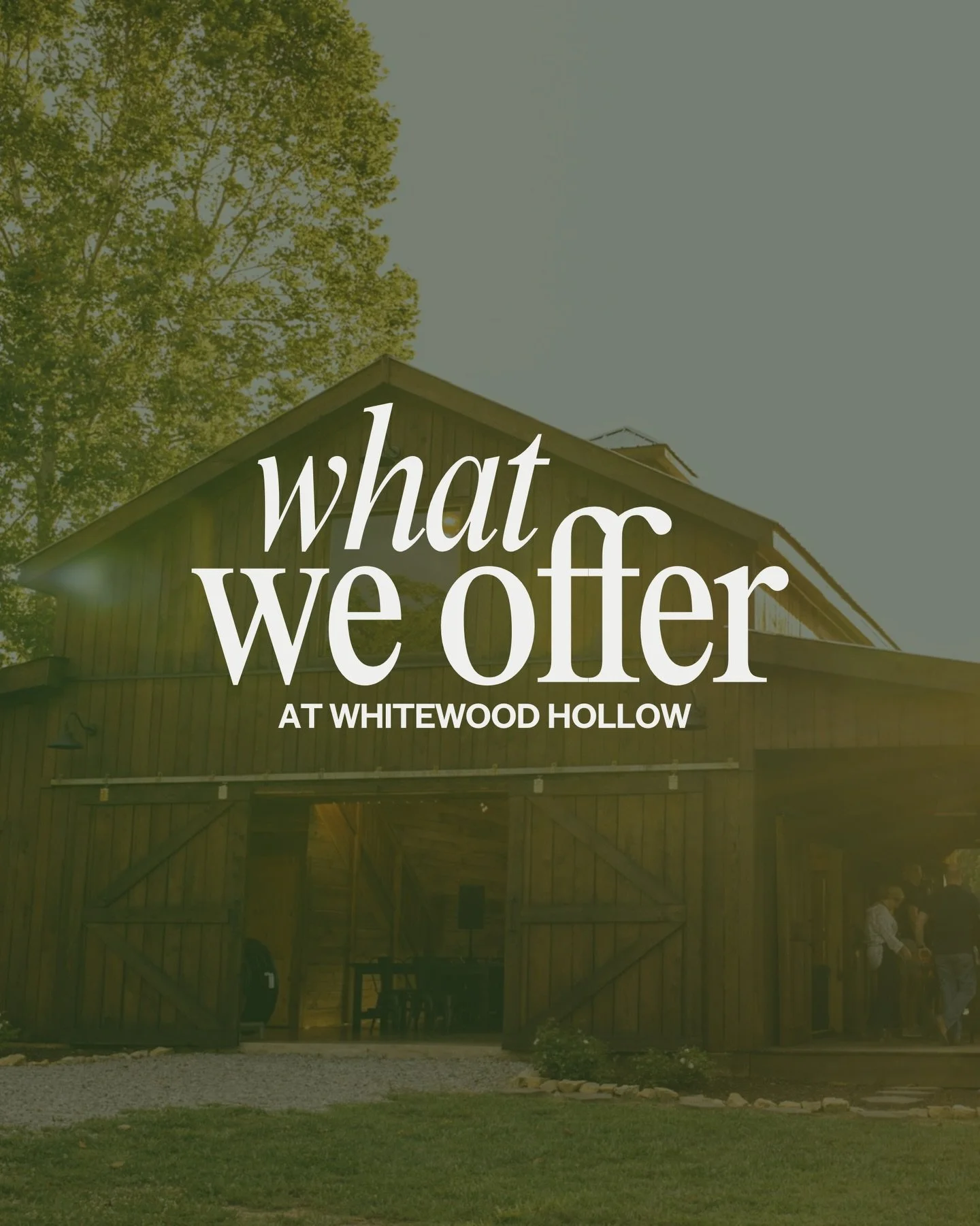 A space made for gathering. ✨

From micro weddings and engagement parties to photoshoots, live music, and intimate dinners, Whitewood Hollow is designed for celebrations that feel personal.

Want to join us at the barn? Inquire through the link in ou