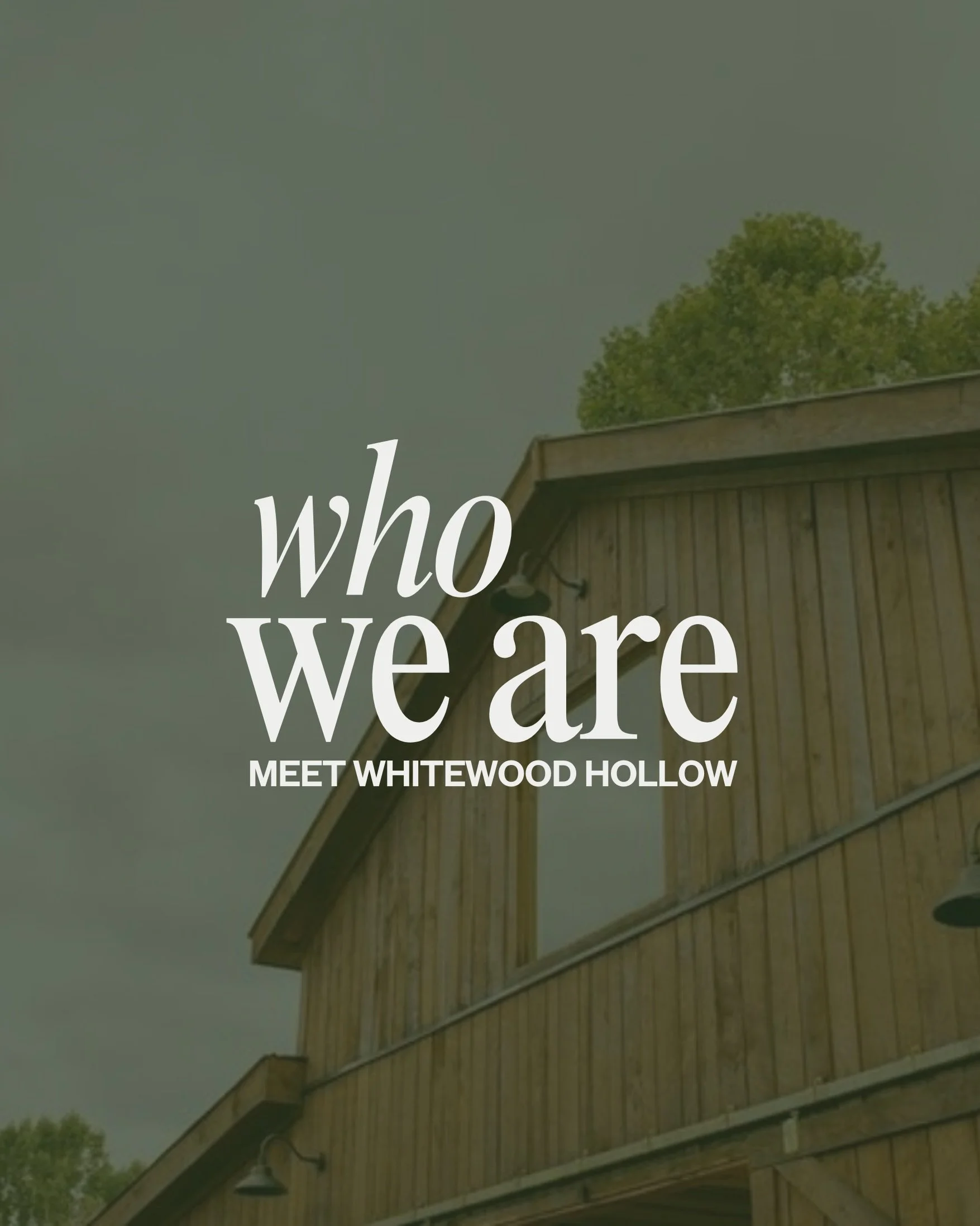 Meet Alex + Drake White, the heart behind Whitewood Hollow 🤍&nbsp;🌾

#whitewoodhollow #nashvillecommunity #nashvilleevents