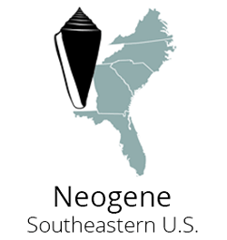 Neogene Atlas