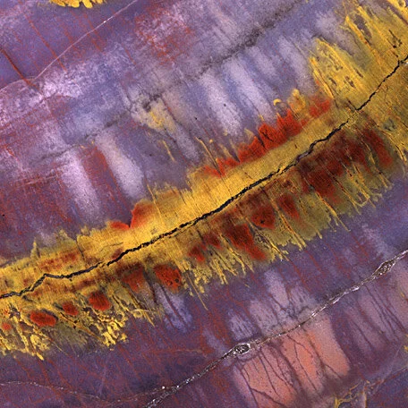 petrified-wood.jpg