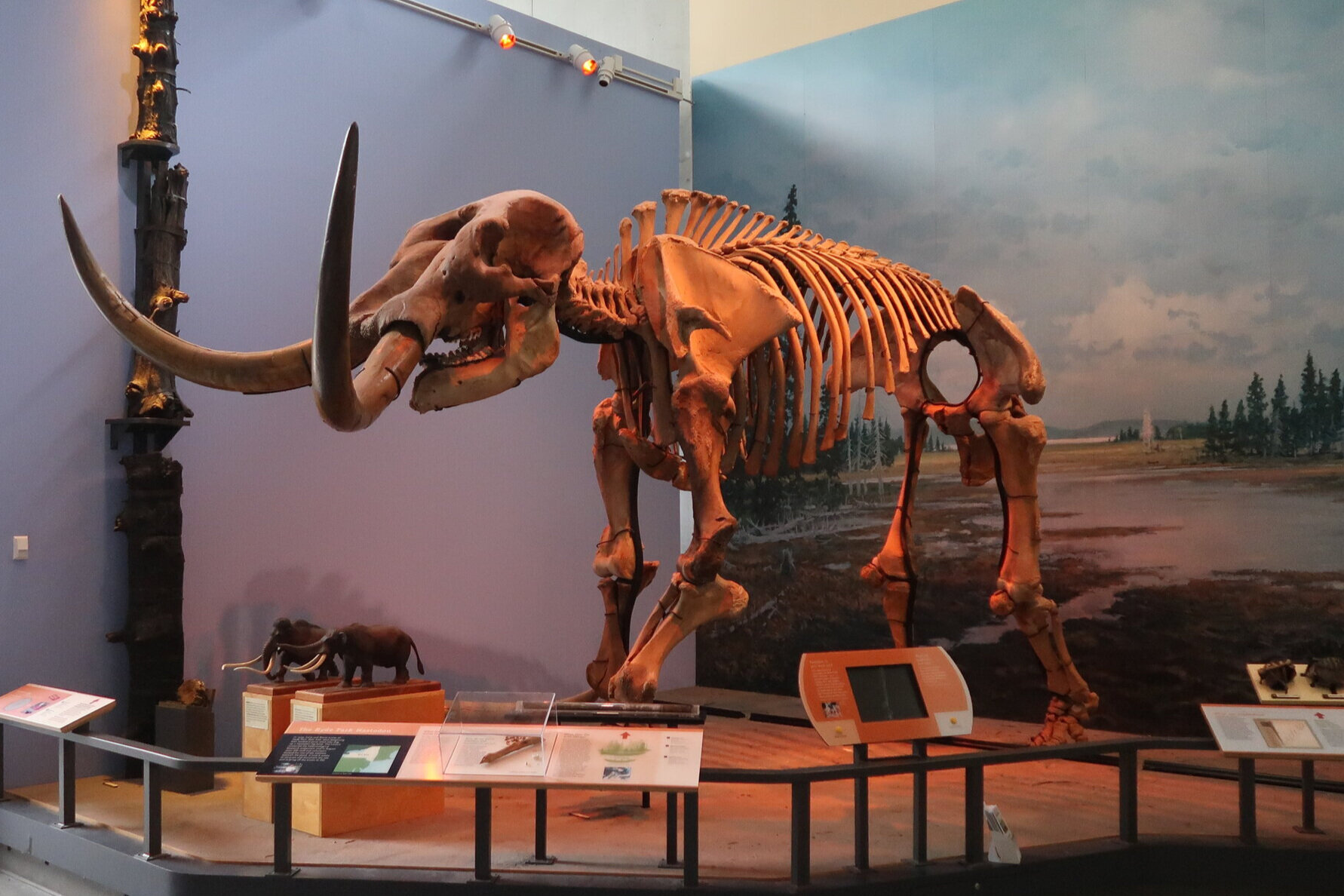 Hyde Park Mastodon — Museum of the Earth