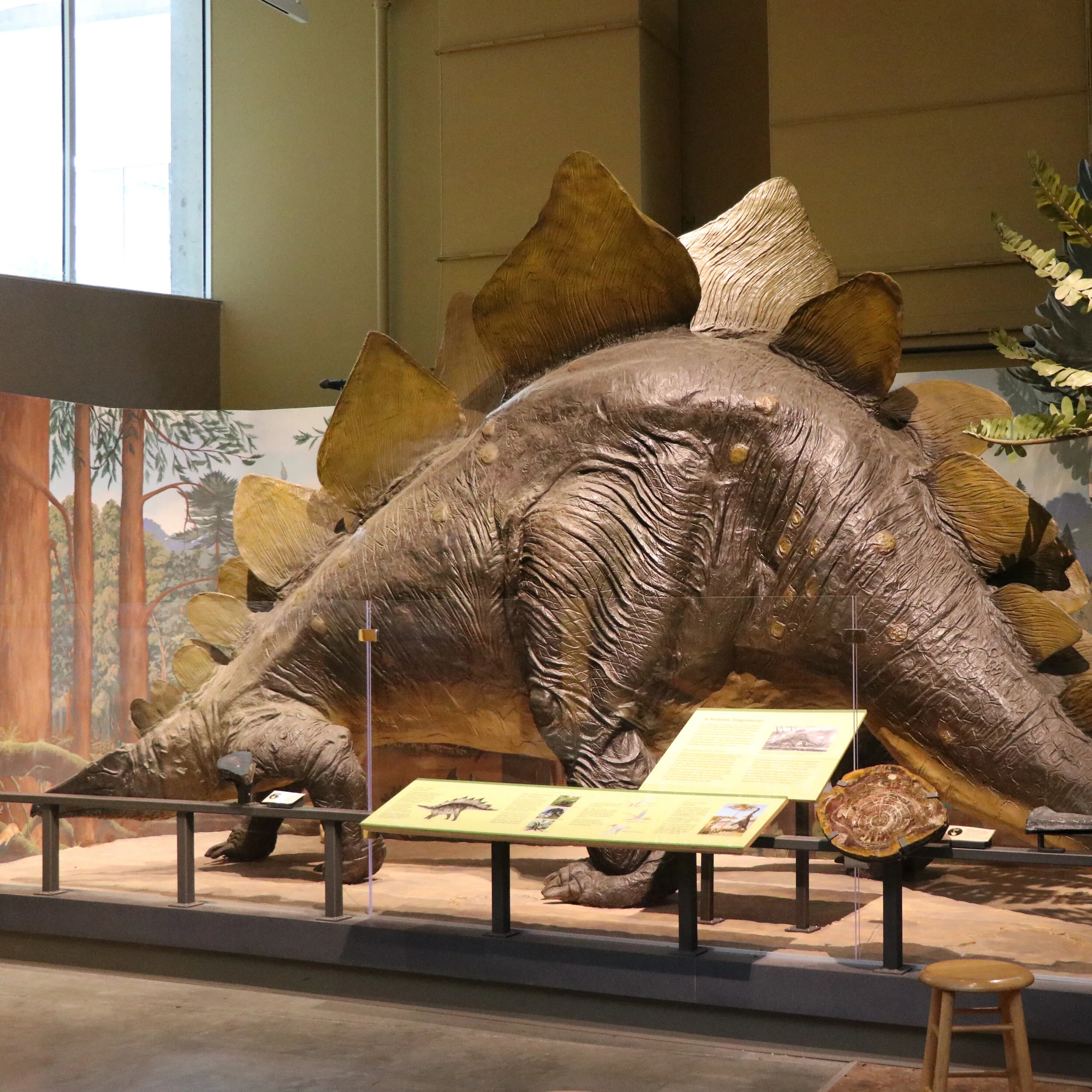 Steggy the Stegosaurus