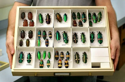 Example of a Cornell drawer.