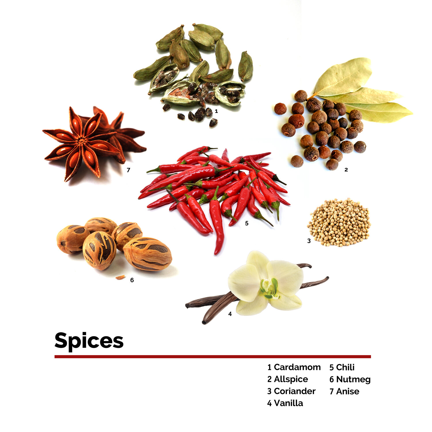 Bees-Agriculture-Spices.jpg