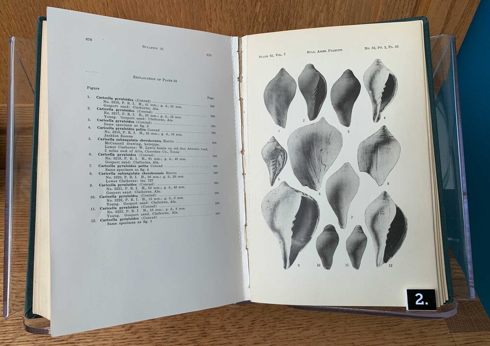 Katherine's 1937 monograph