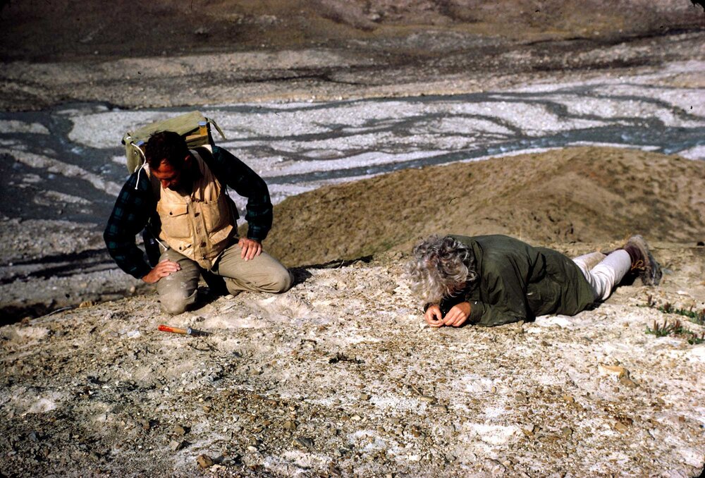 Searching for fossils