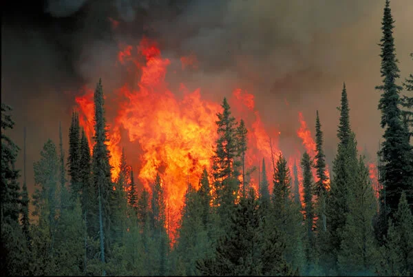 PHOTO CREDIT: U.S. DEPARTMENT OF AGRICULTURE