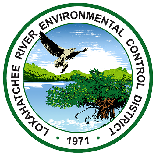 lrd-logo.png
