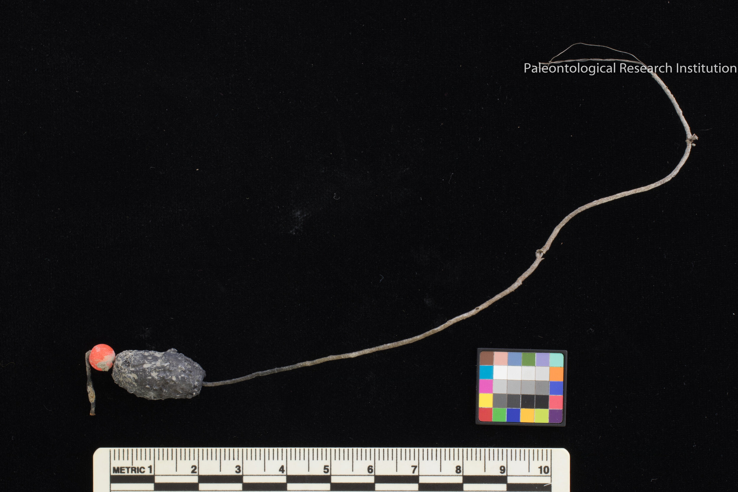 37. Fishing Line