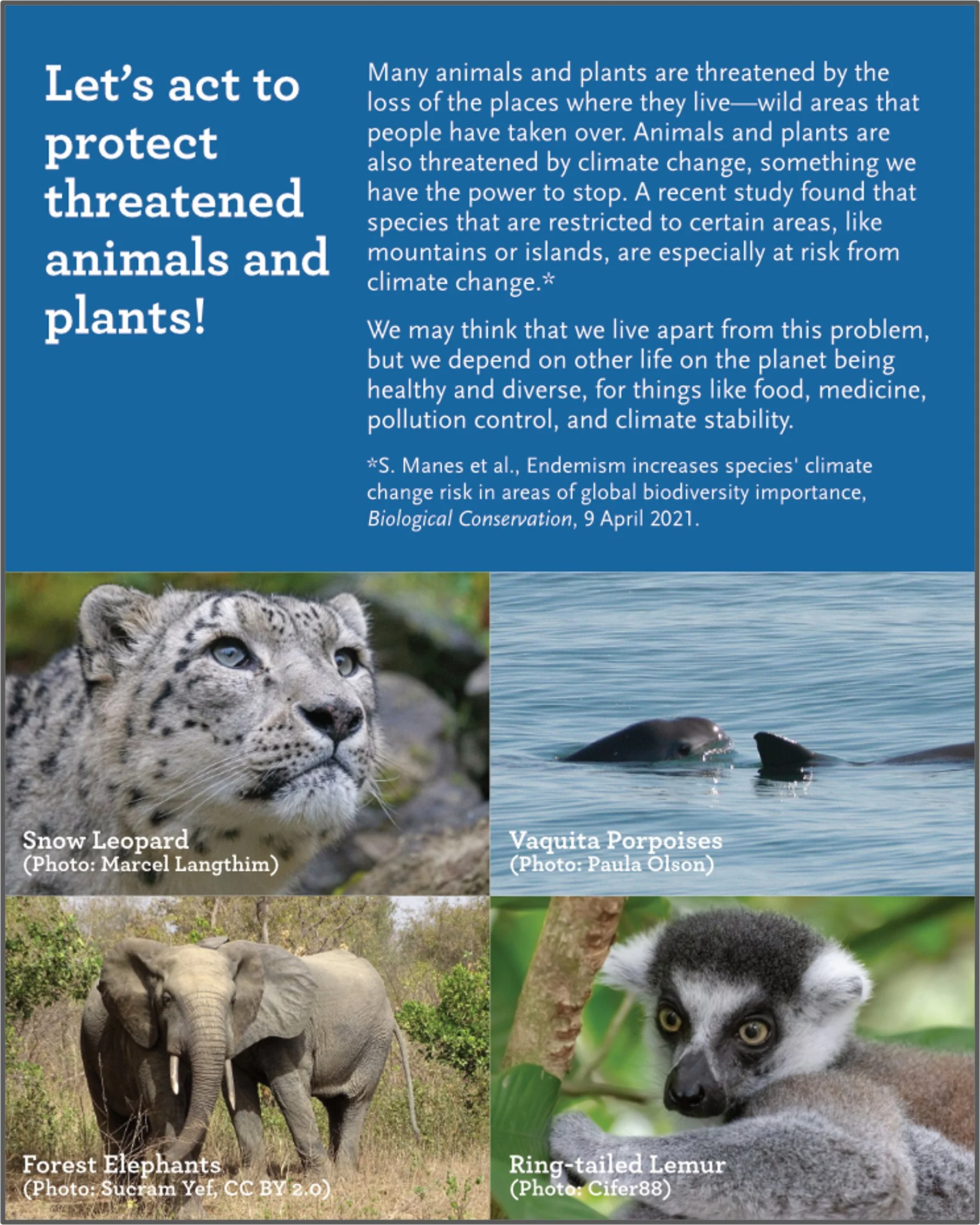 Biodiversity