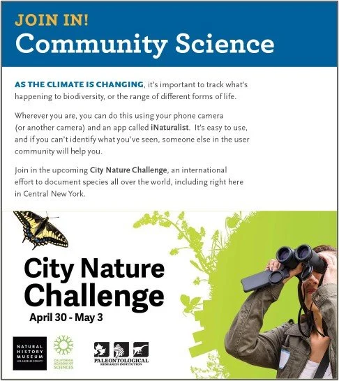 Community Science- City Nature Challenge 