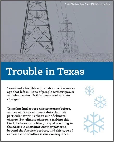 Trouble in Texas 2