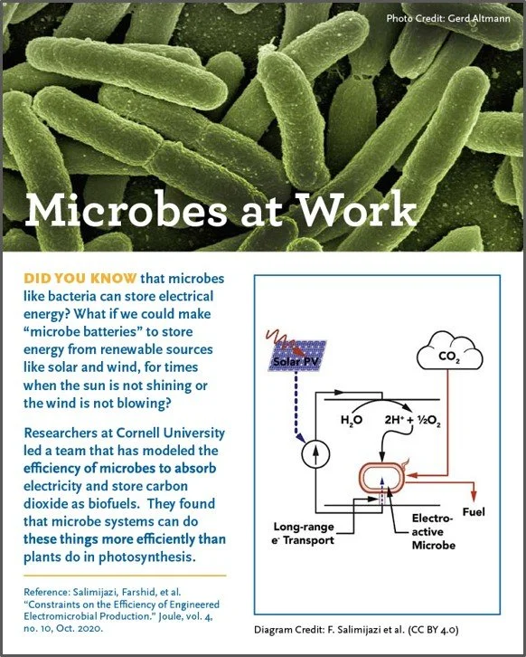 Microbes at Work