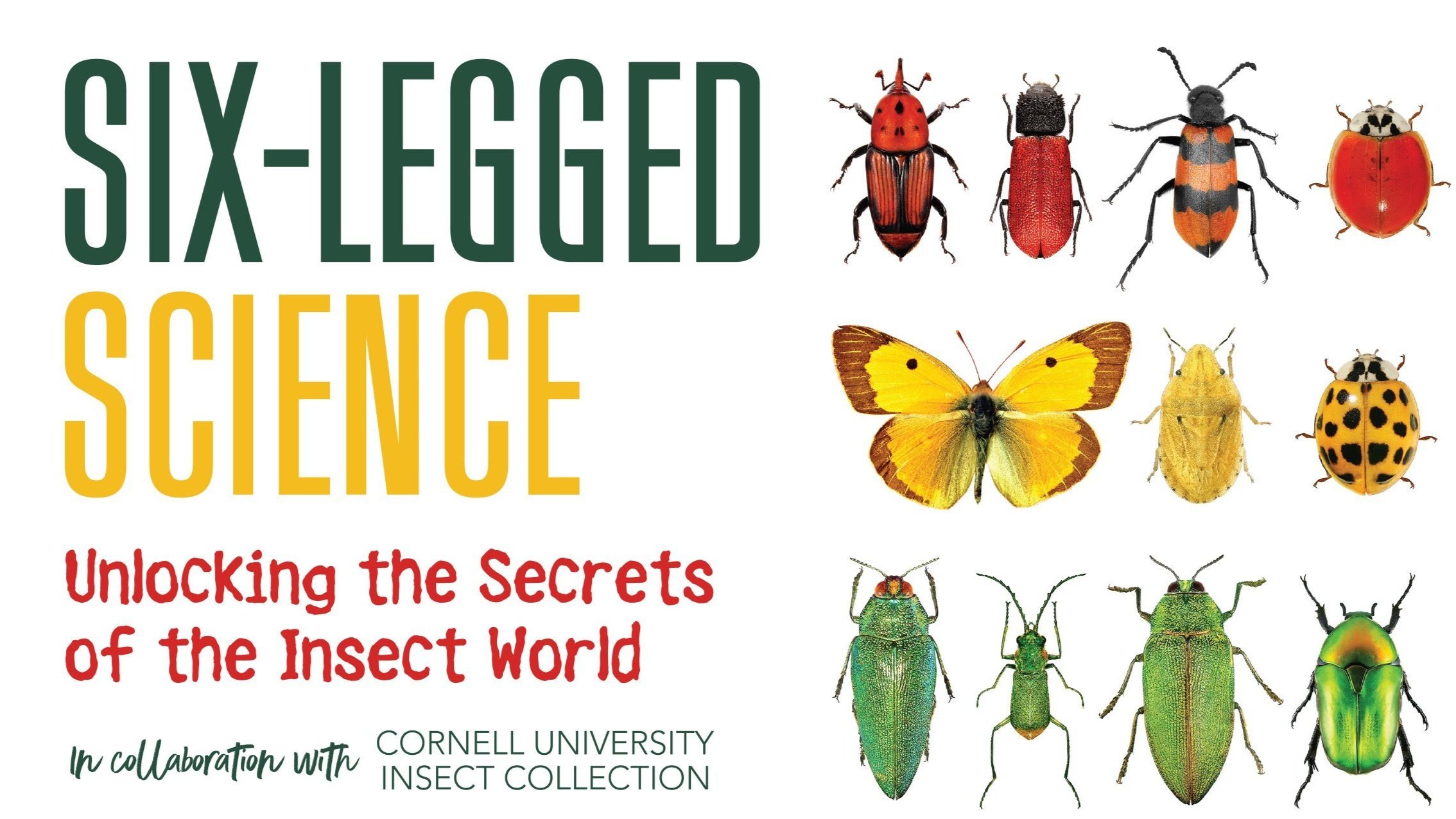 Introduction | Six-Legged Science: Unlocking the Secrets of the Insect  World — Museum of the Earth