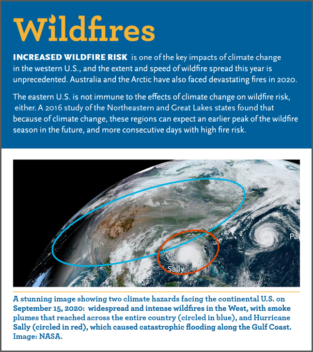Wildfires 