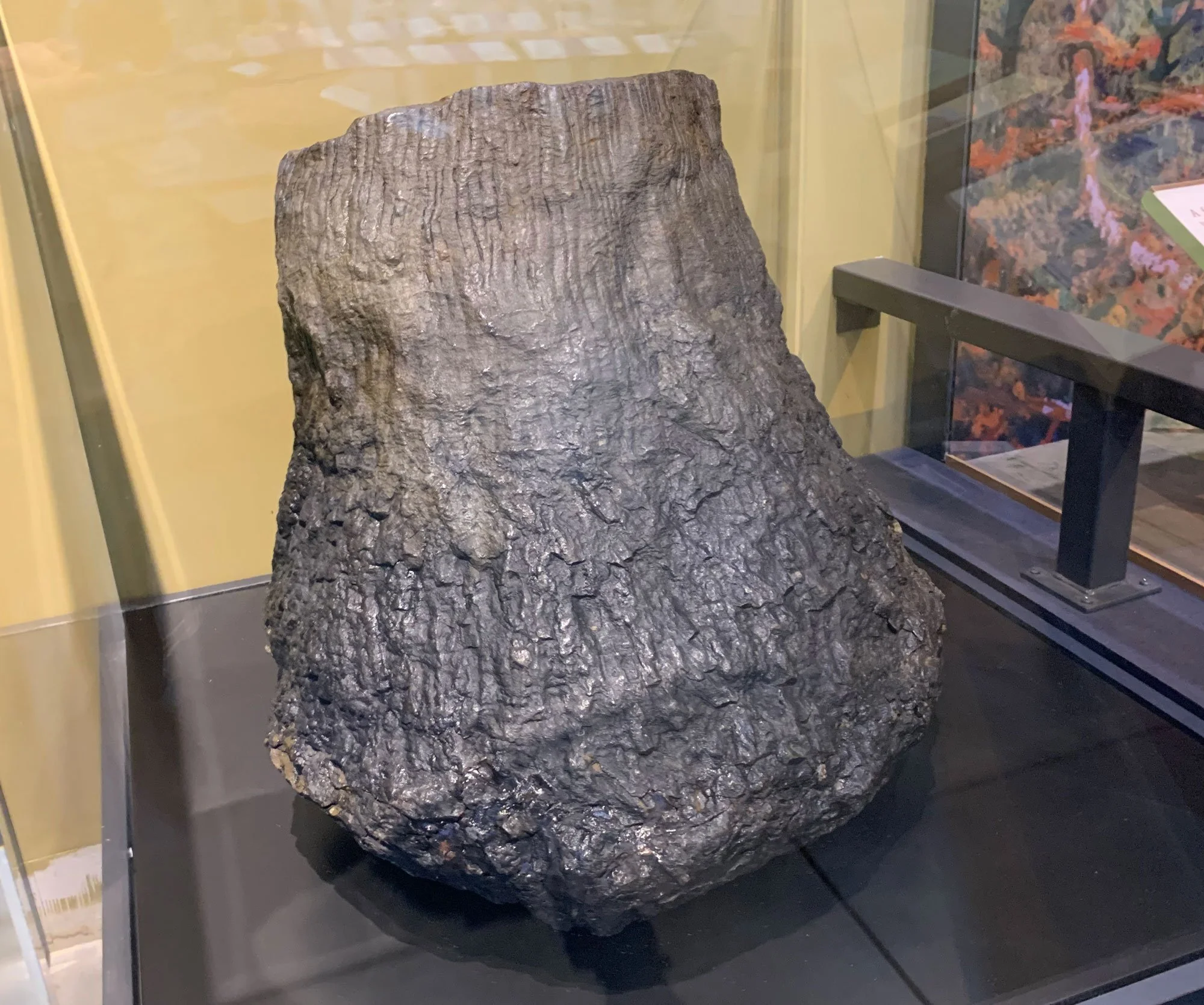 Devonian Life on Land NY Rocks! Ancient Life of the Empire State