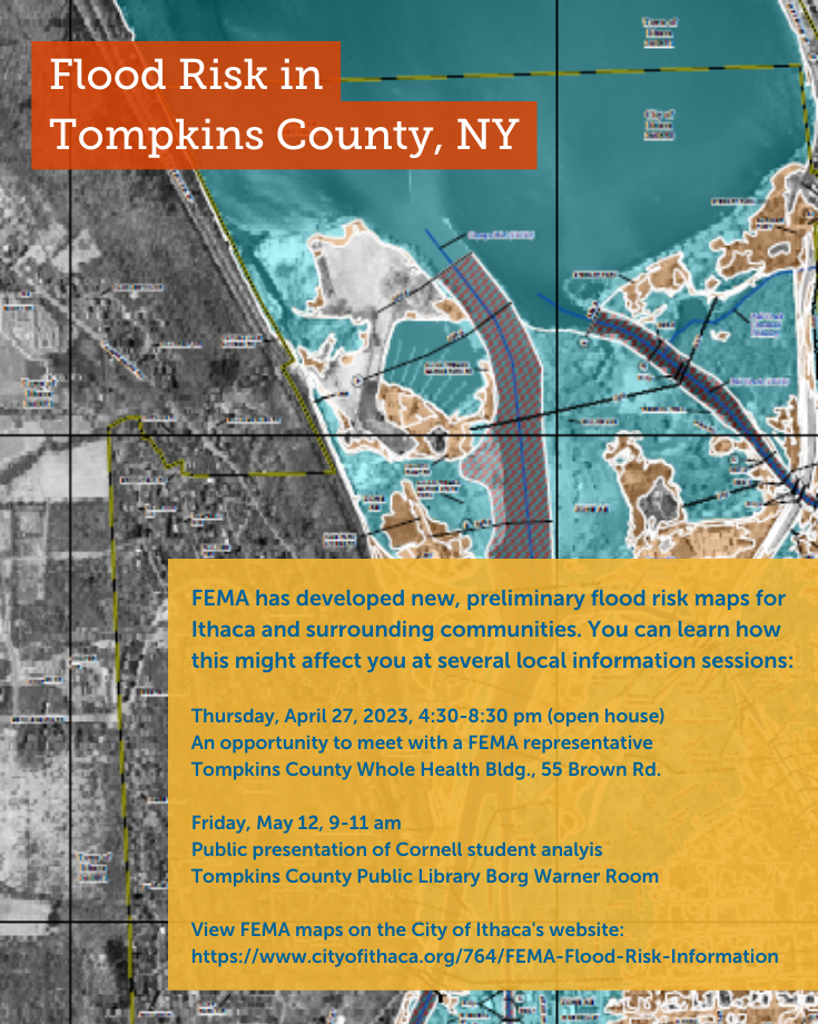 Flood Risk