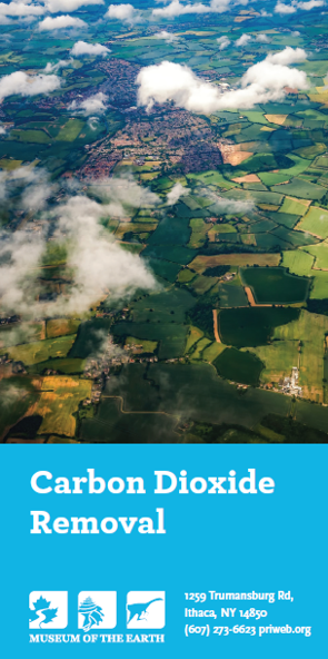 Carbon Dioxide Removal