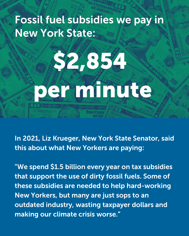 NY State Energy Subsidies