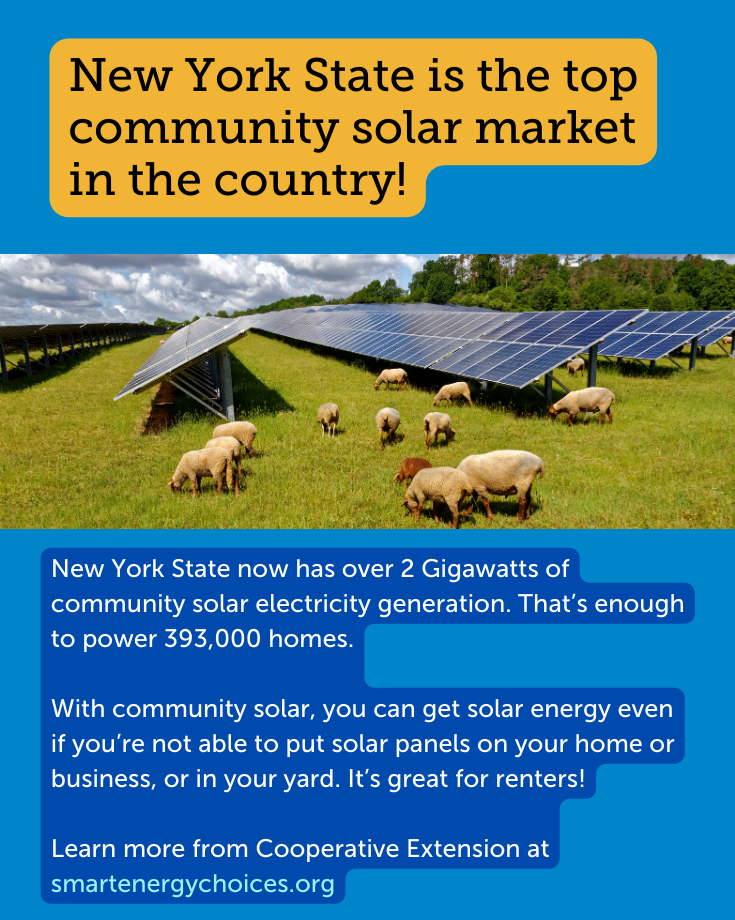 NY Community Solar