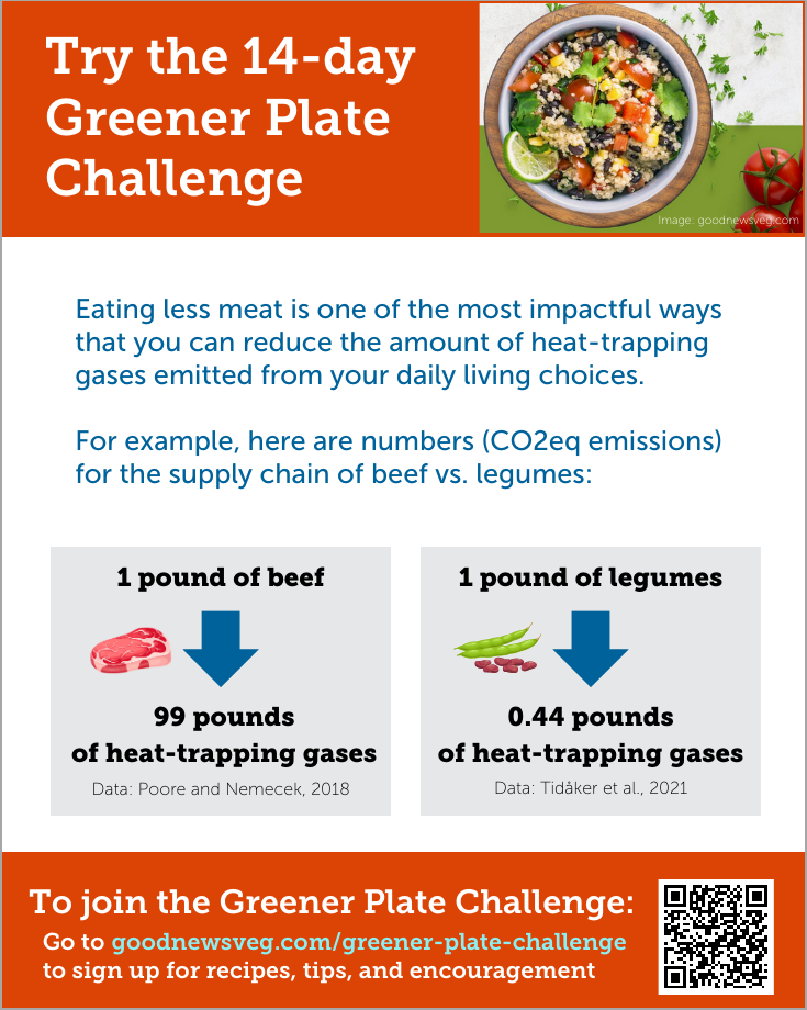 Greener Plate Challenge