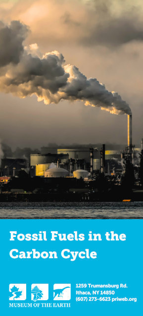 Fossil Fuels in the Carbon Cycle