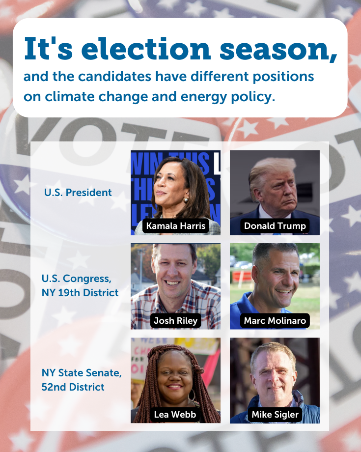 Election Season