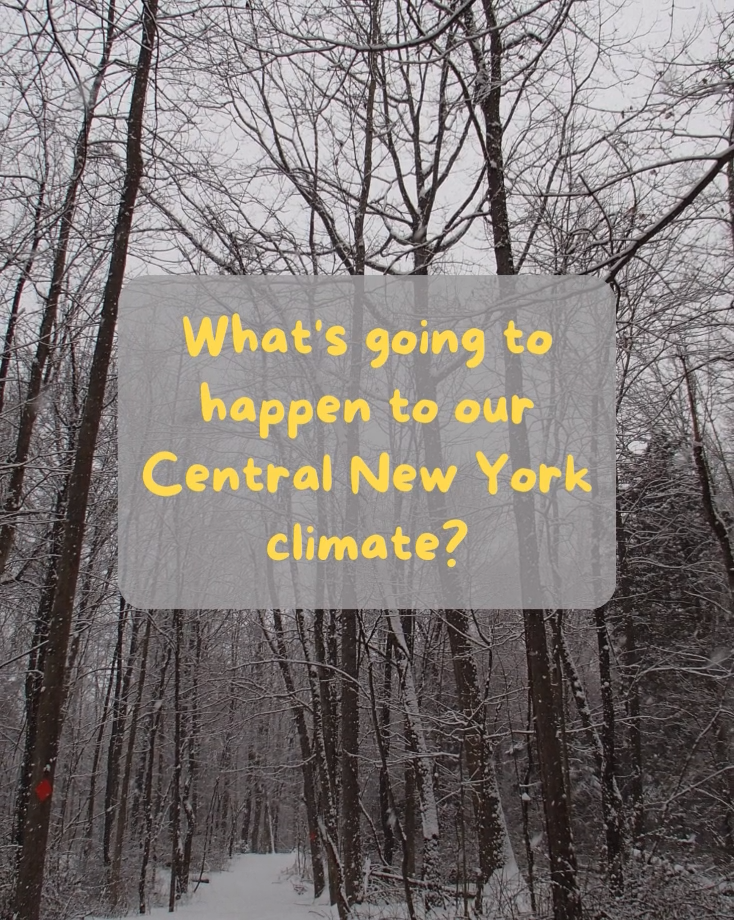 Future Central New York Winters
