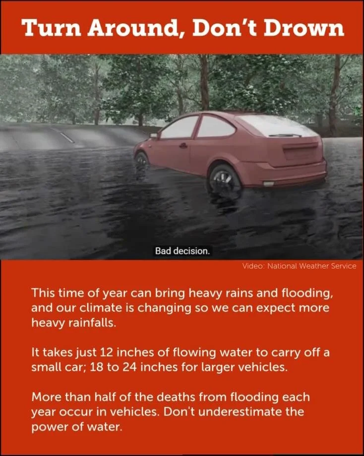 Turn Around, Don't Drown