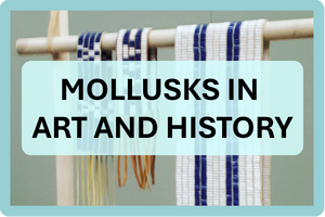 MOLLUSKS IN ART AND HISTORY