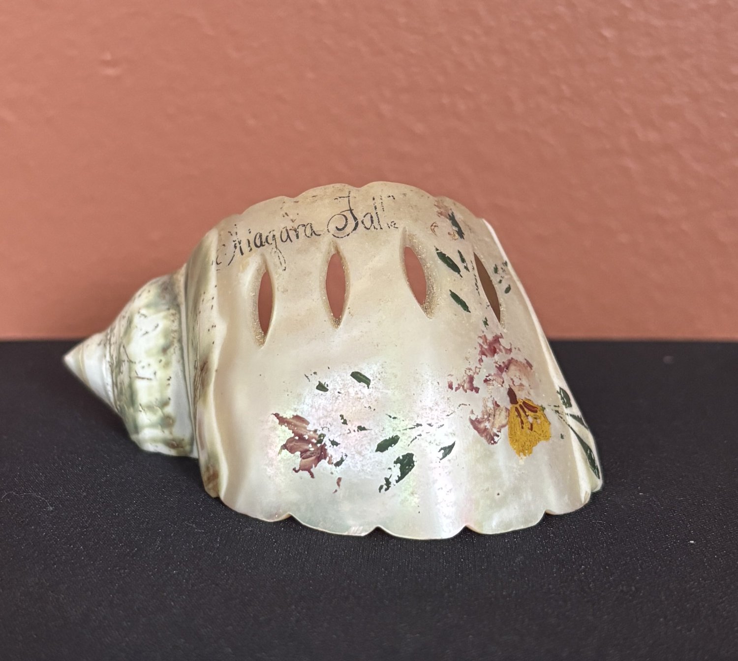 Souvenir “Niagara Falls” napkin rings made from marine snail shells (𝘛𝘶𝘳𝘣𝘰 𝘮𝘢𝘳𝘮𝘰𝘳𝘢𝘵𝘶𝘴). Source unknown. PRI Education Collection