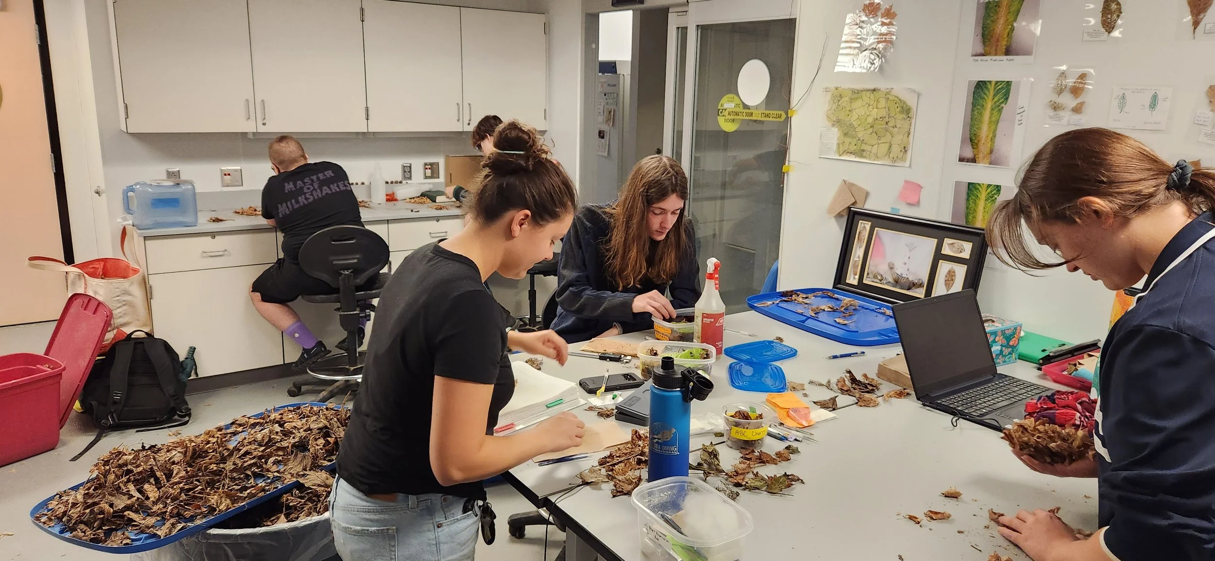  SUNY-ESF conservation staff Alyssa Whitbread (left) is leading students in weekly changes of terraria, counting the captive snails, transferring baby snails, and ensuring each terrarium has the correct leafy diet, a.k.a. “leaf litter lasagna.” Photo