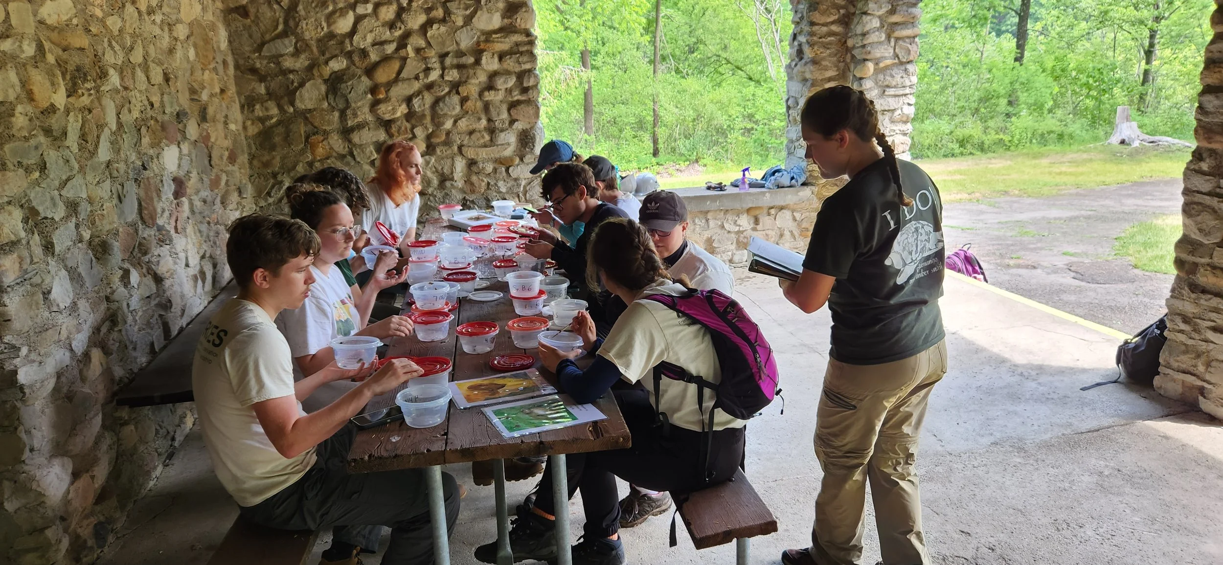  SUNY-ESF conservation staff Alyssa Whitbread (standing with notebook) is leading the counting and marking of COAS from a summer snail survey at Chittenango Falls State Park. Park staff and SUNY-ESF students (seated) are important contributors to the