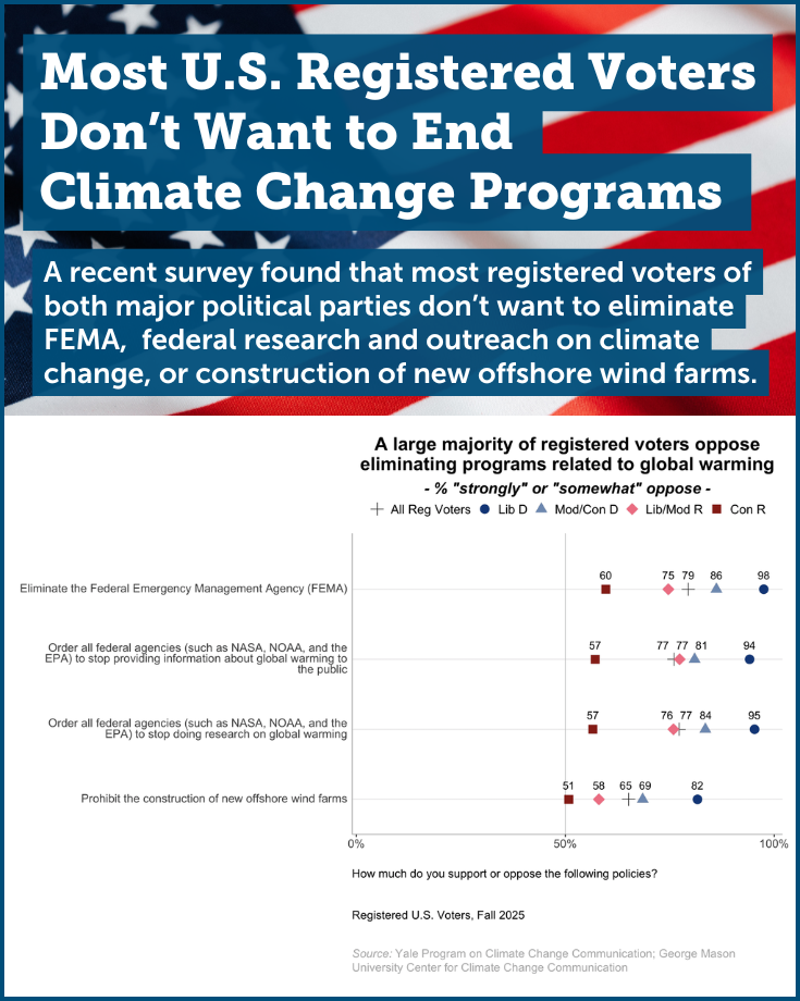 American Voter Survey