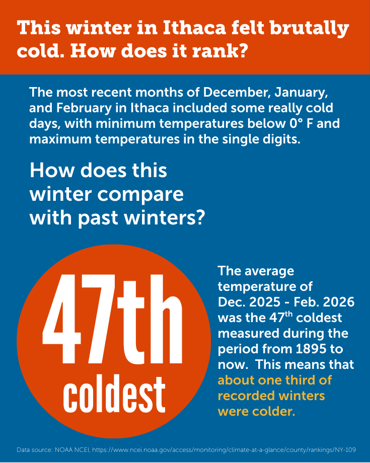 Cold Winter 2026