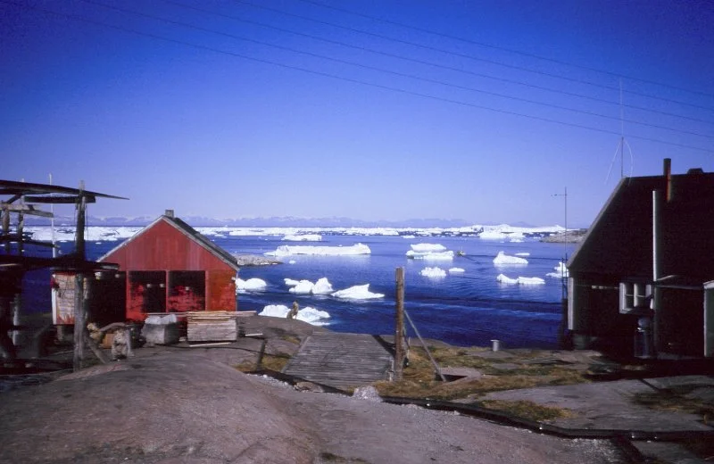  Icebergs that have broken off from Sermeq Kujalleq (Jakobshavn Glacier) in Illulisat, Greenland. Photo by Ingrid Zabel 