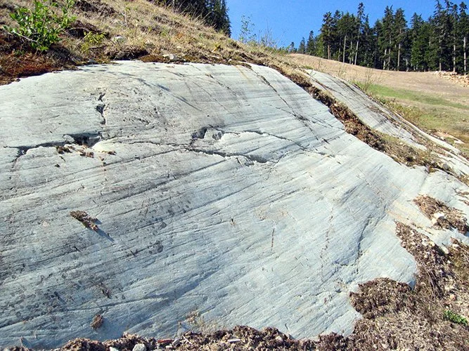GLACIAL STRIATIONS: Long, straight, parallel lines carved in bedrock that formed when debris embedded in a moving glacier scratched along the ground.