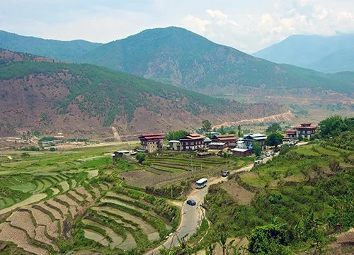 Rice fields, Bhutan