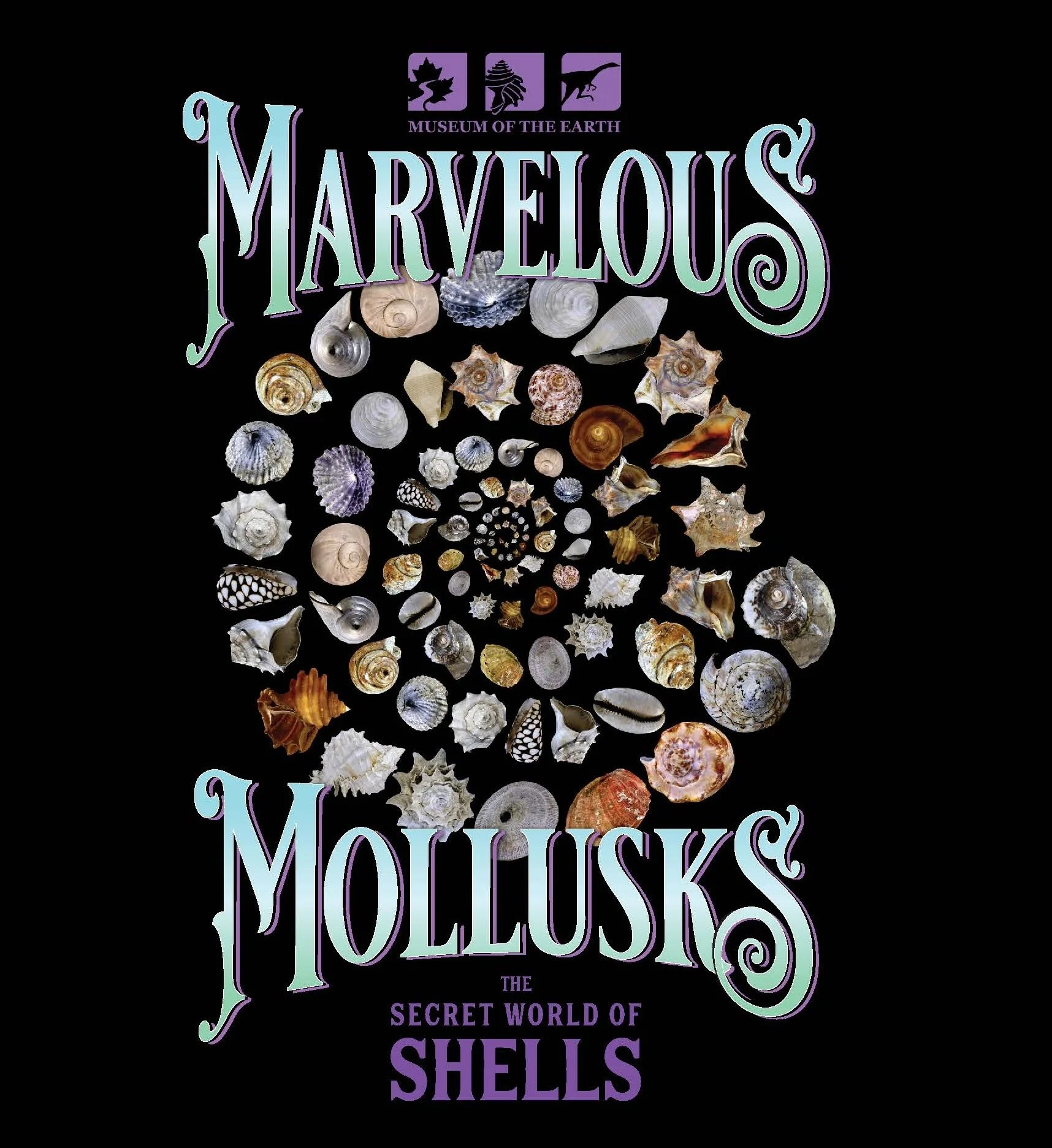 Marvelous Mollusks