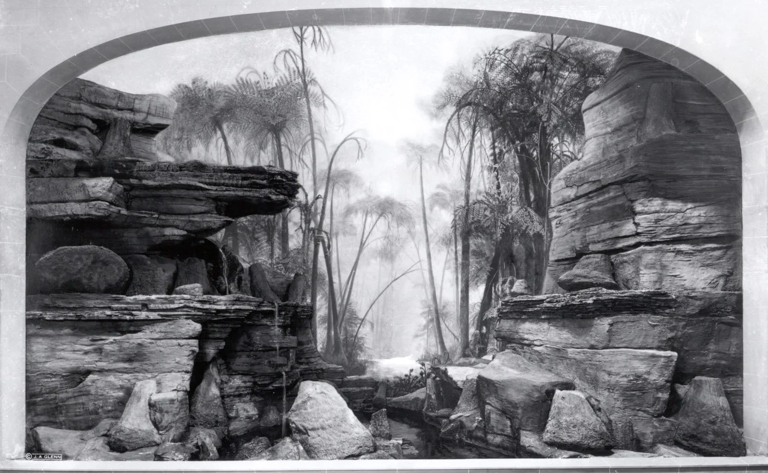 Devonian Life on Land NY Rocks! Ancient Life of the Empire State