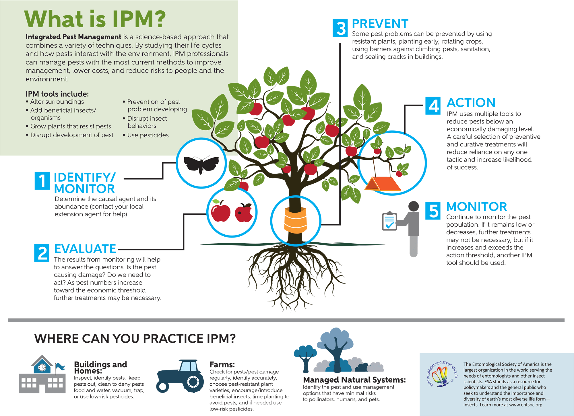Infographic explaining Integrated Pest Management.