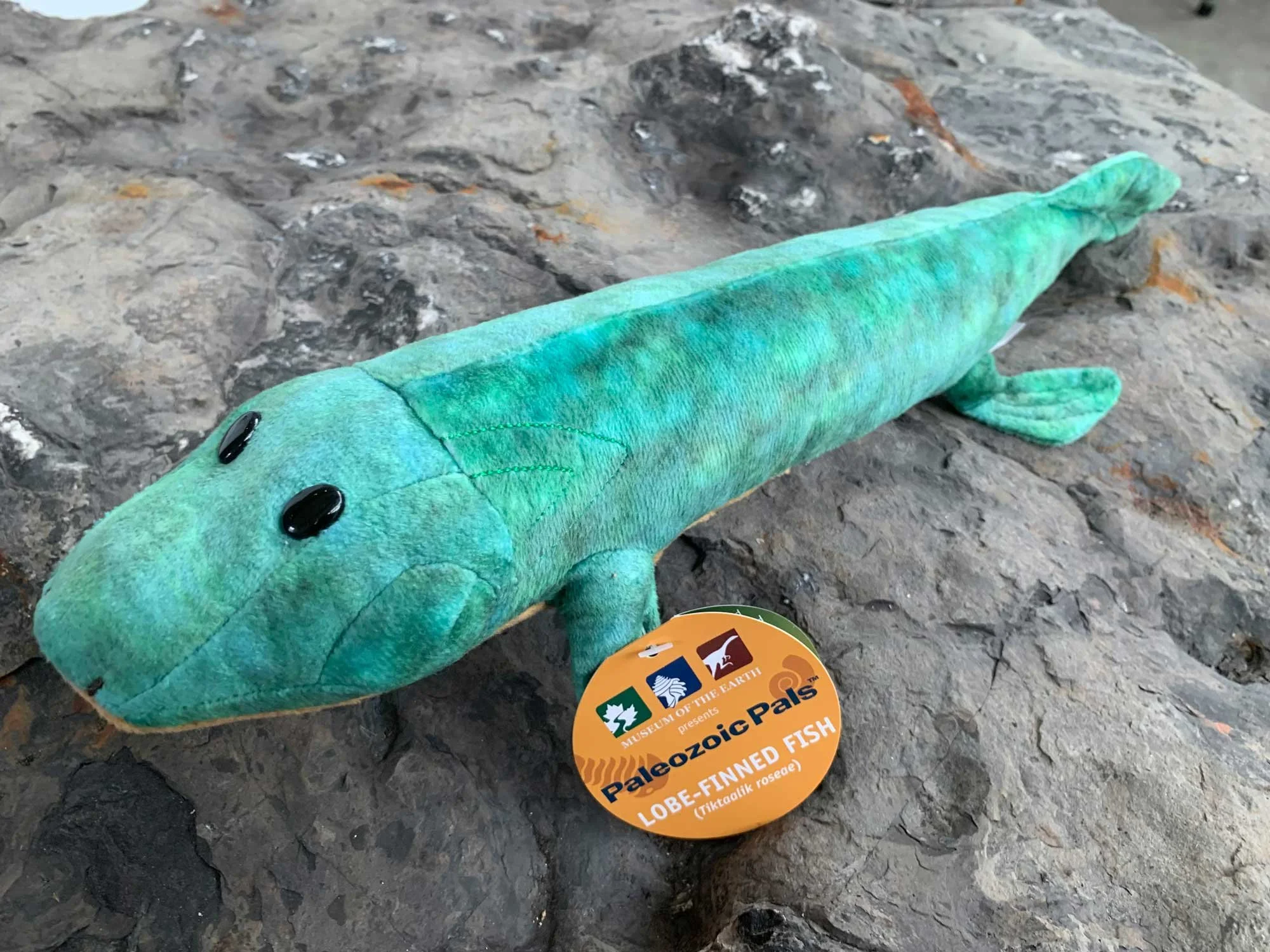 Fish — Museum of the Earth