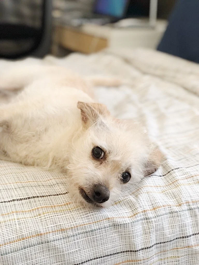 39B7B965-2130-4AA8-B15A-53AF3A1BCCE5 2.JPG