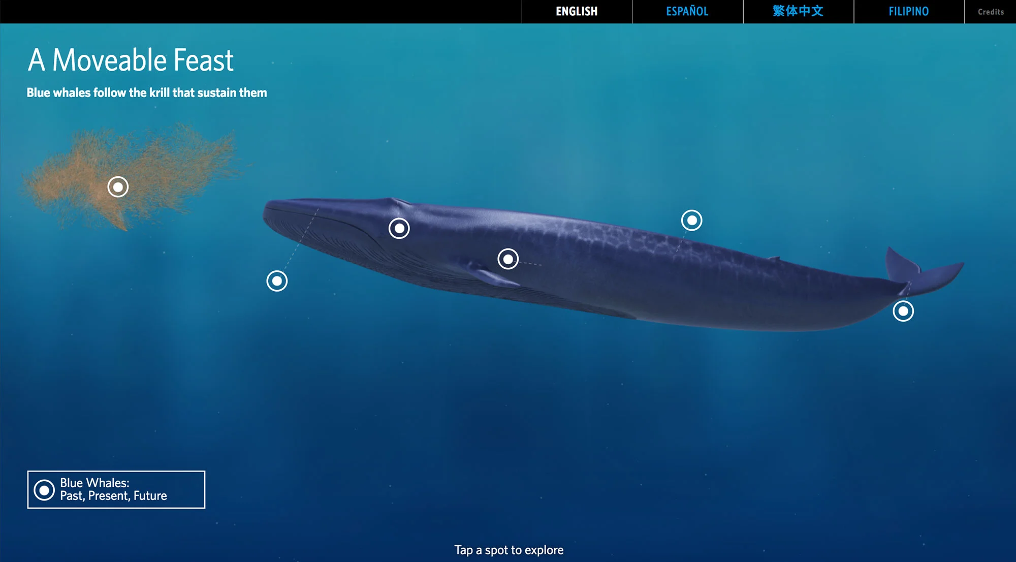 Home screen with hotspots on the whale, krill, and a button to explore historical facts