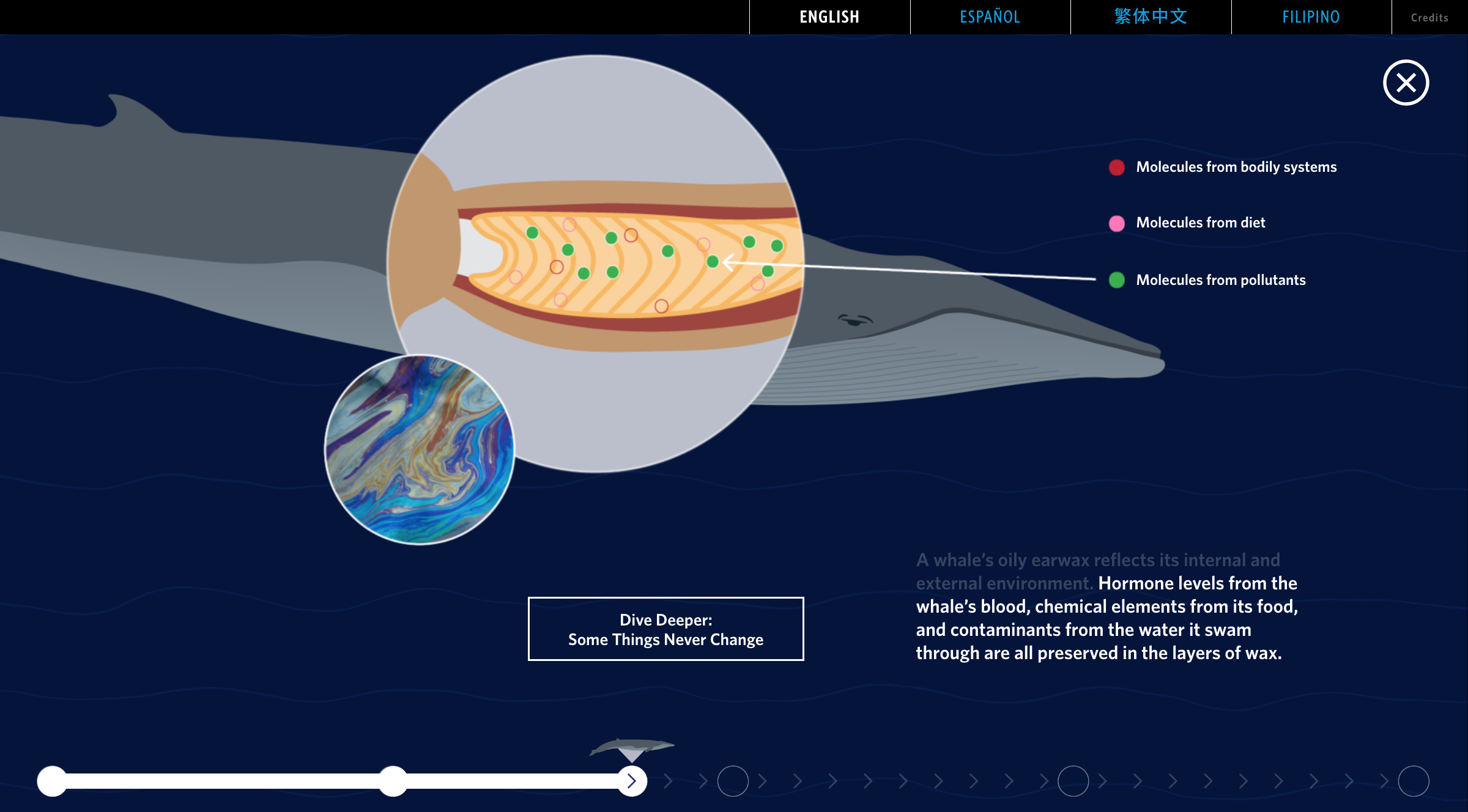 Buttons appear throughout the stories to dive deeper into the content