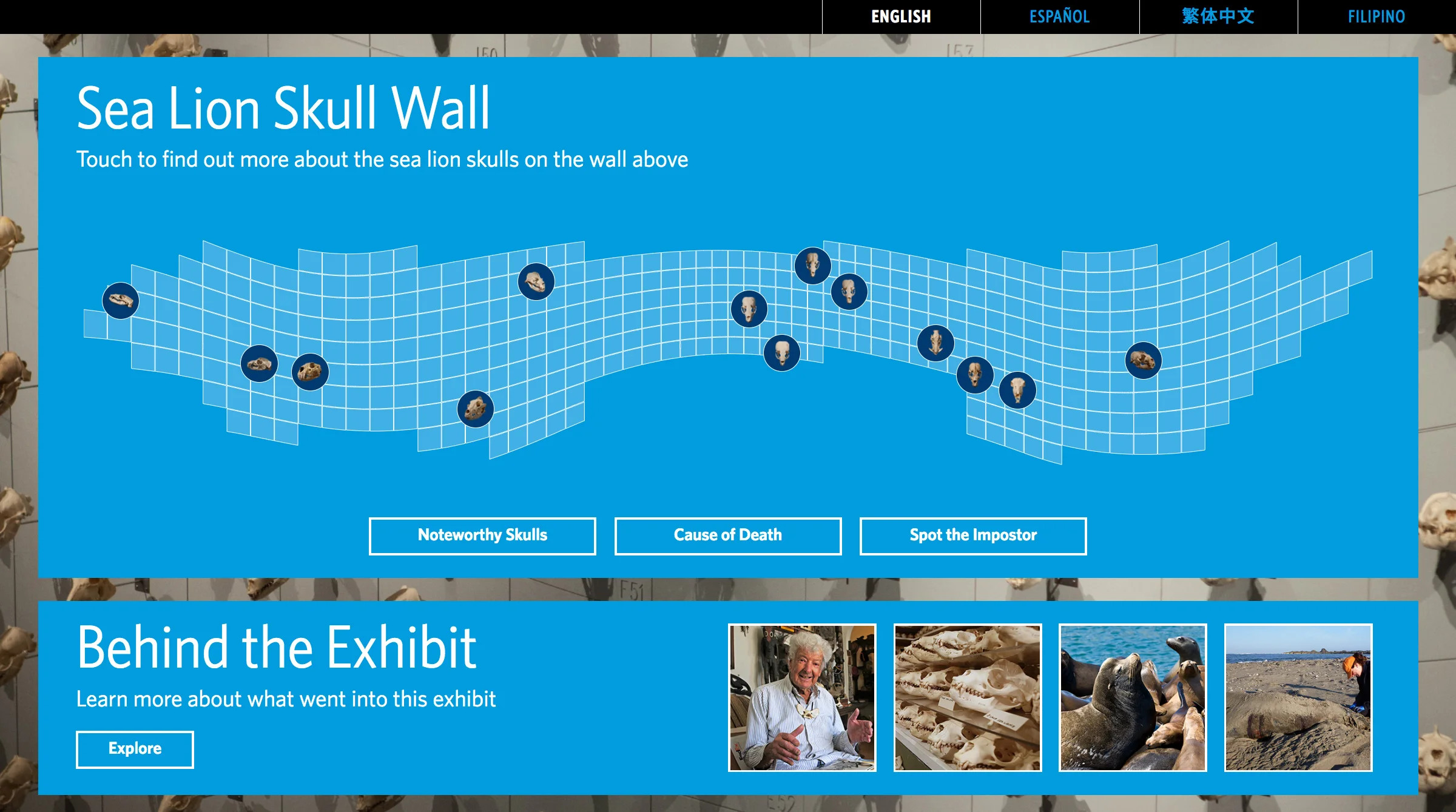 Home screen A: Exploring the grid of skulls